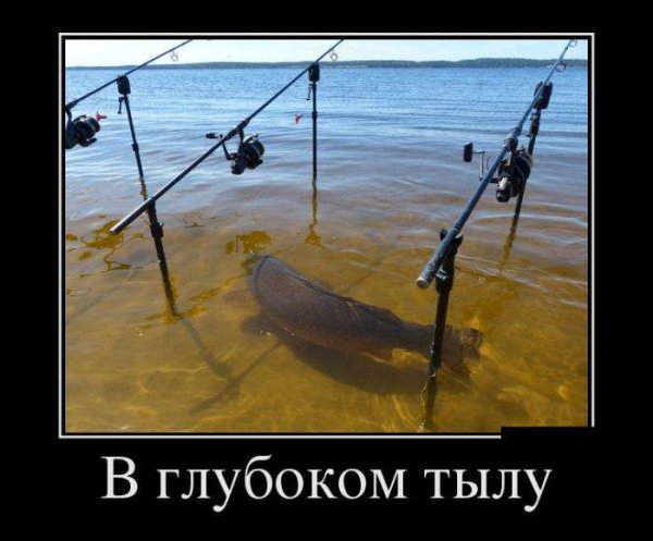 Шутки про рыбалку