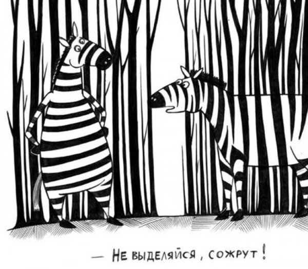 Смешное про полосатое