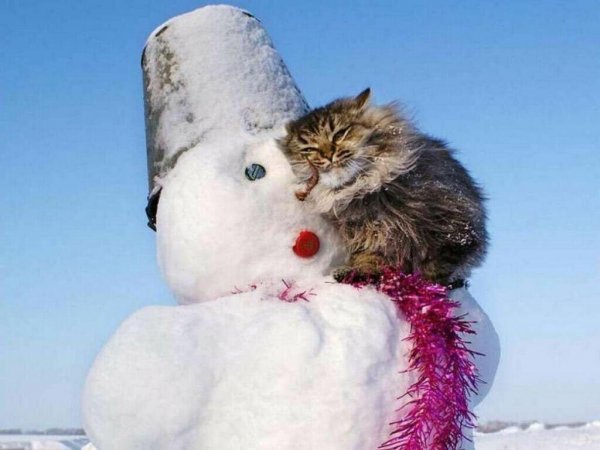 Веселая зима