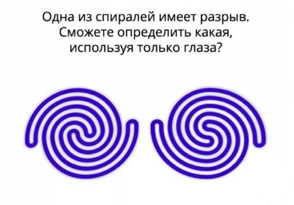 Интересные загадки в картинках