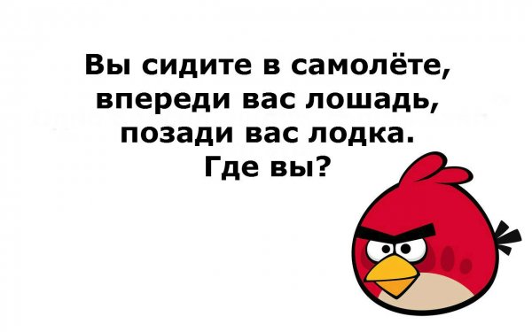 Загадки для постов в ВК