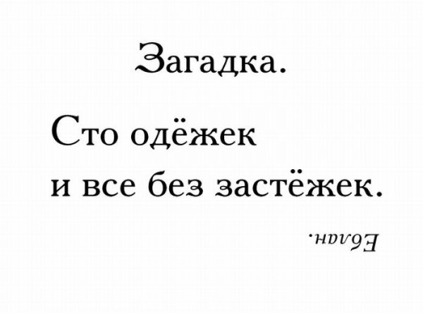 Тупые загадки