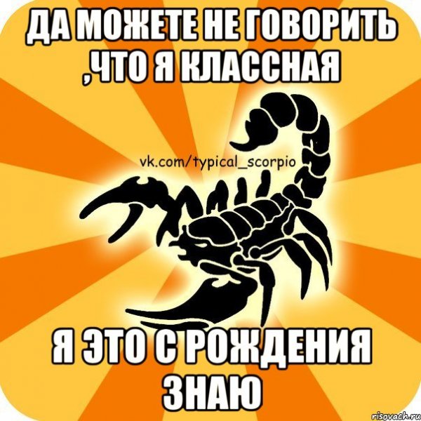 Смешные мемы про скорпионов