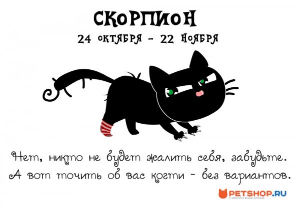 Гороскоп кошек
