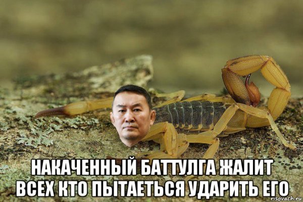 Мемы про скорпионов