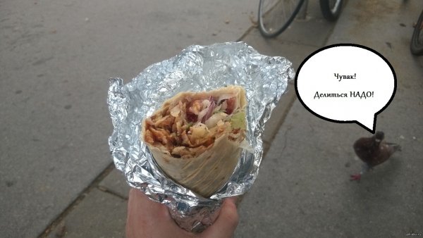 Юмор шаверма