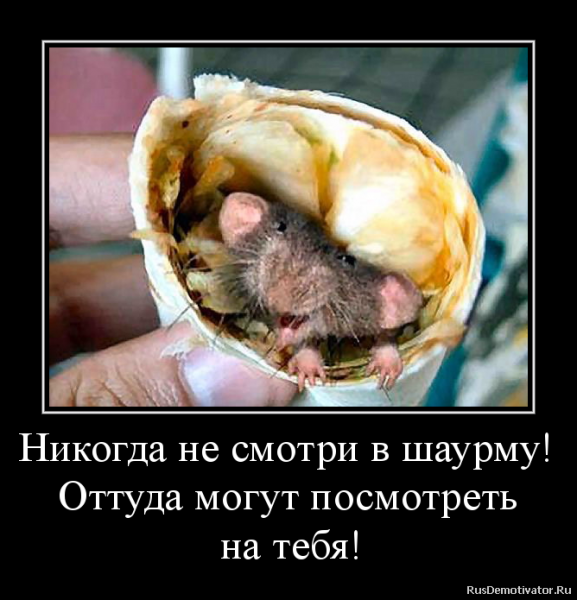 Шаурма прикол