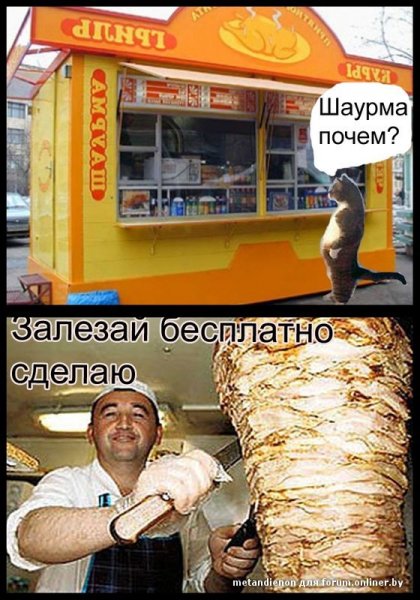 Шутки про шаурму