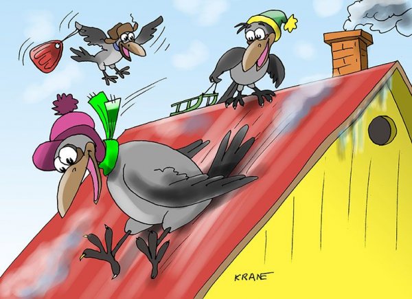 Ворон карикатура