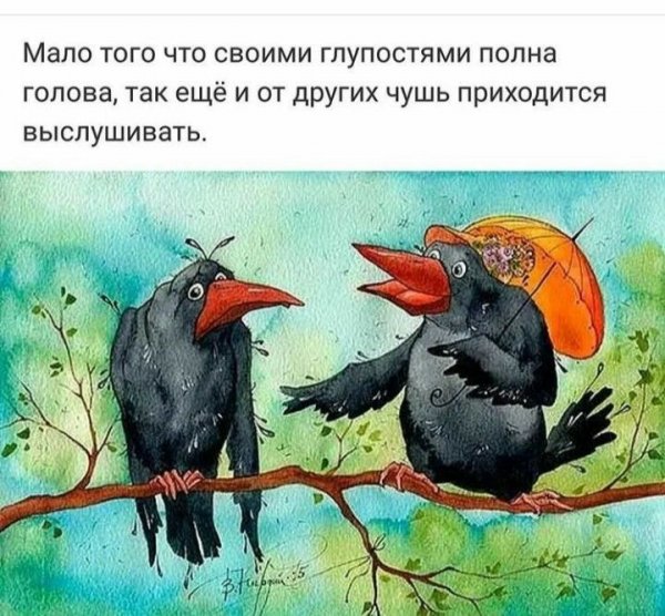 Ворона юмор