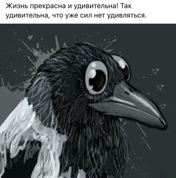 Прикольная ворона