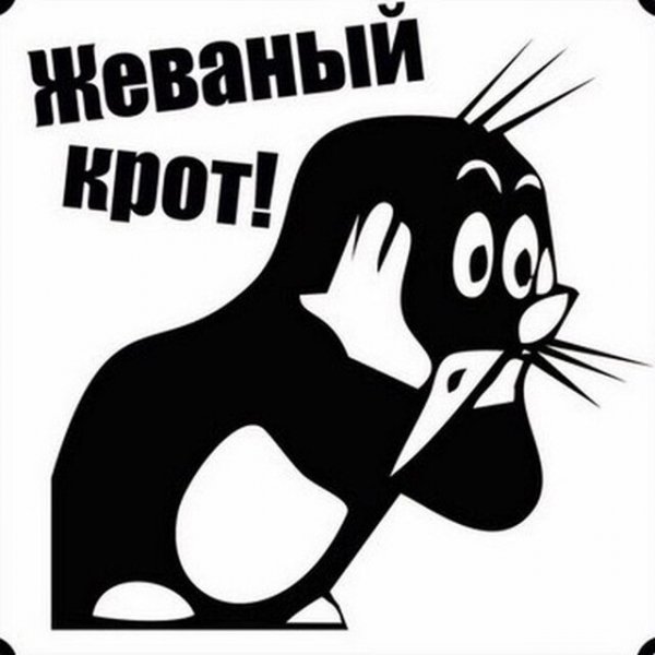 Кот жует