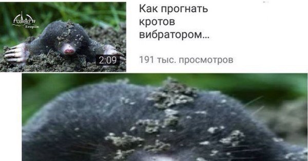 Чешский Крот приколы