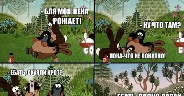 Шутки про крота