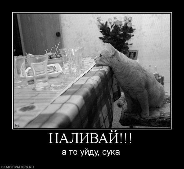 Наливай а то уйду