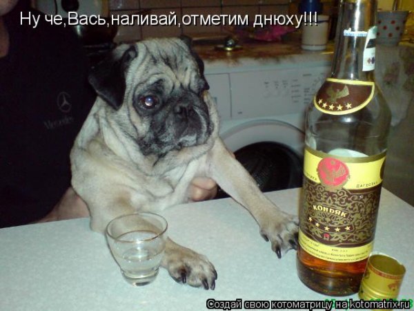 На посошок