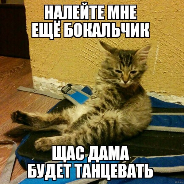 Налейте мне еще бокальчик