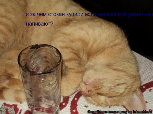 Выпить налей