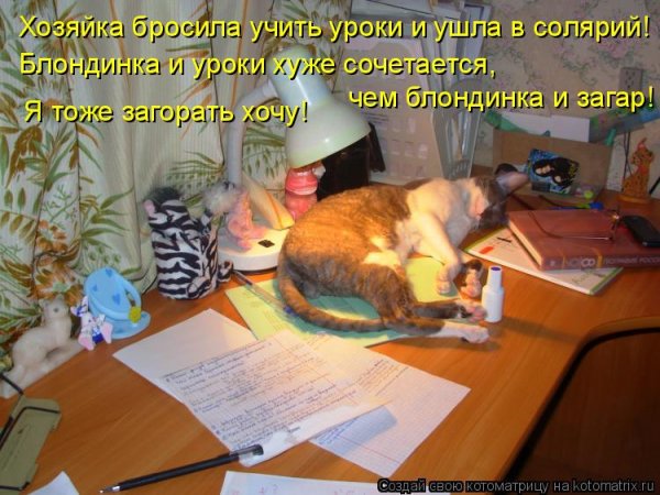 Смешные картинки про уроки