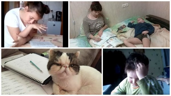 Мем уроки с ребенком