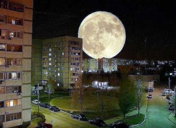 Шутки про полнолуние