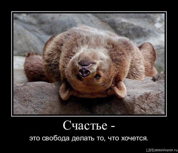 Счастье картинки прикольные
