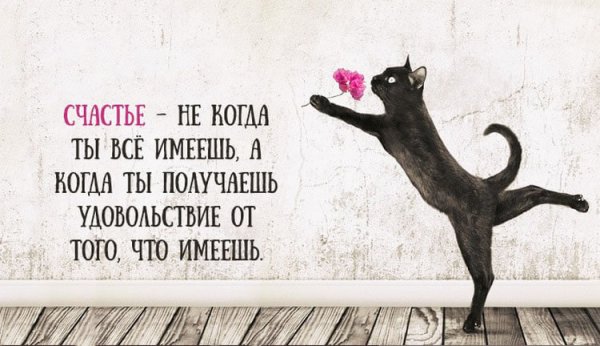 Цитаты про счастье прикольные