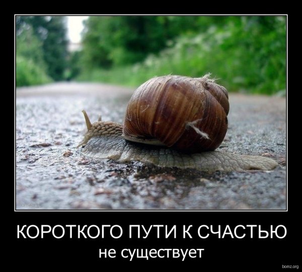 Счастье есть демотиватор