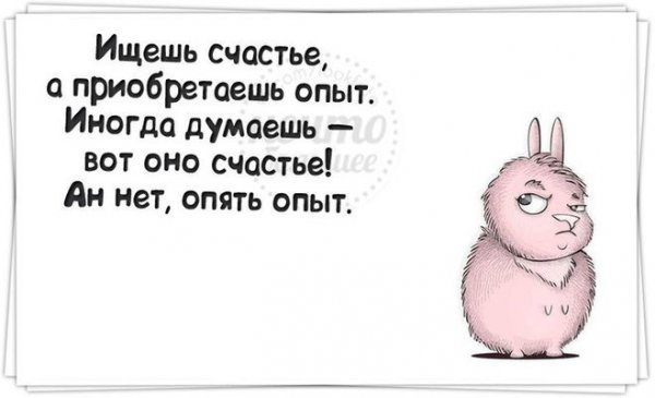 Счастье прикол