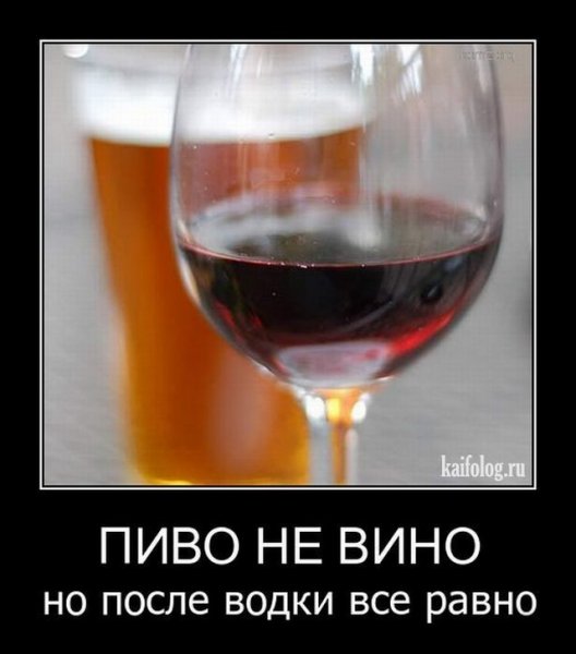 Демотиватор о вине
