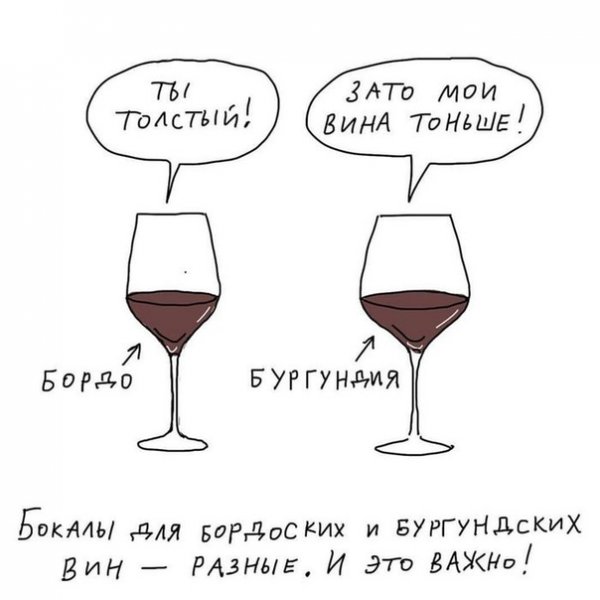 Высказывания про вино