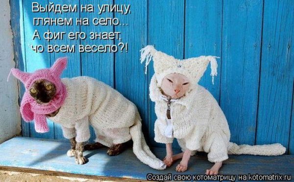 Мы с Тамарой ходим парой