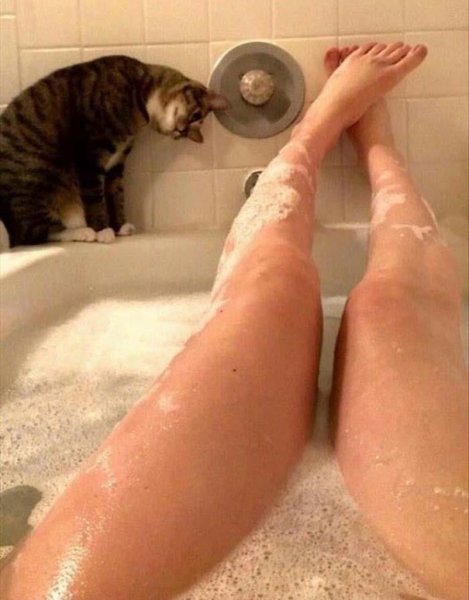Длинные ноги смешно