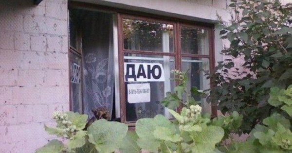 Мемы про риэлторов и недвижимость