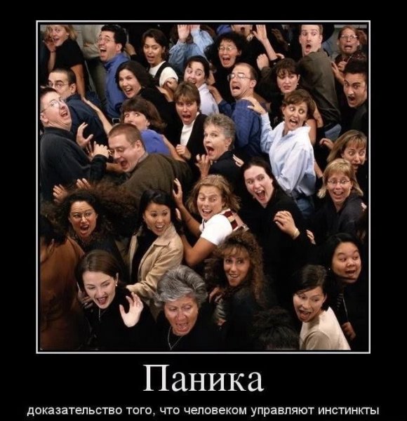 Паника прикол