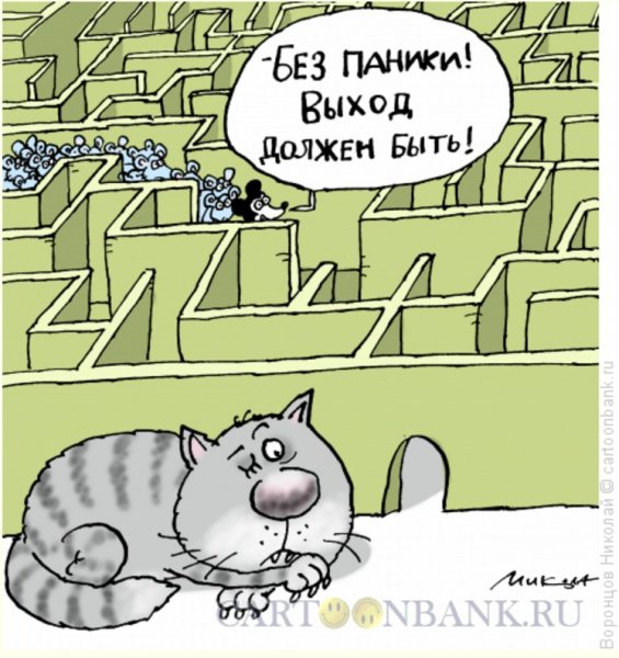 Оптимизм карикатура