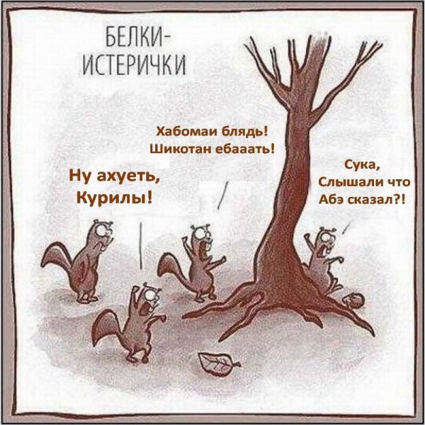 Белки истерички оригинал