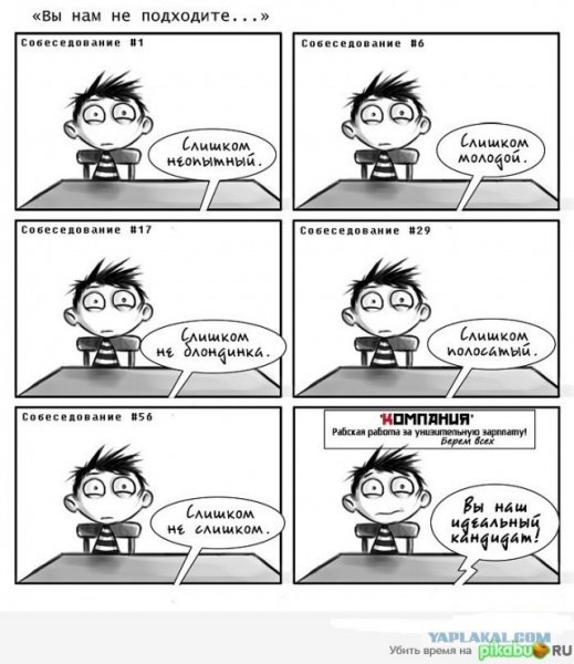 Мемы про собеседование