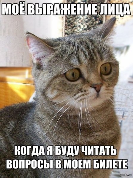 Сессия приколы