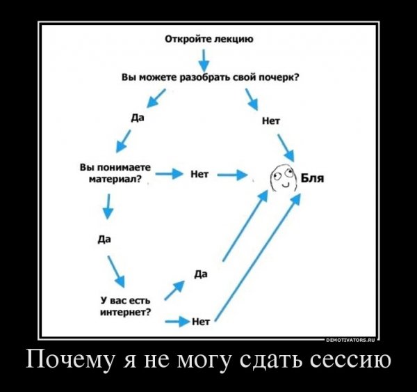 Сессия котик