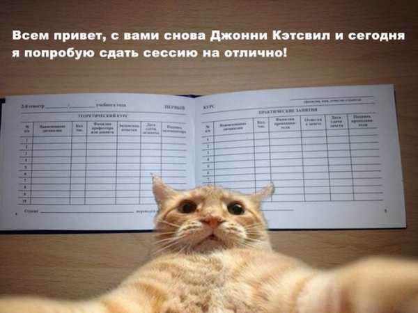 Сессия приколы