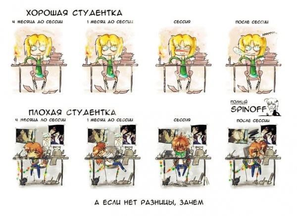 Сессия приколы