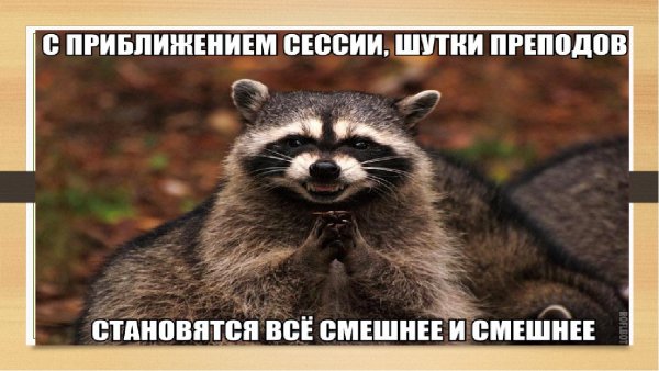 Цитаты про сессию смешные
