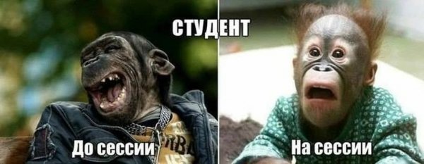 Статусы про сессию