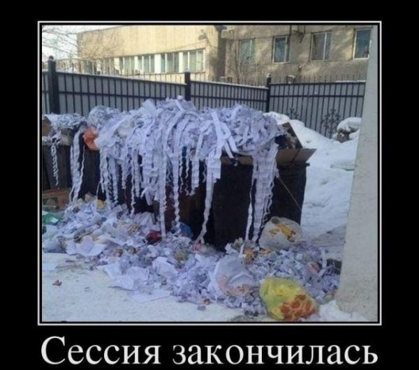 Сессия приколы