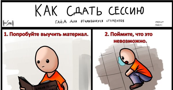 Прикольные фото про сессию
