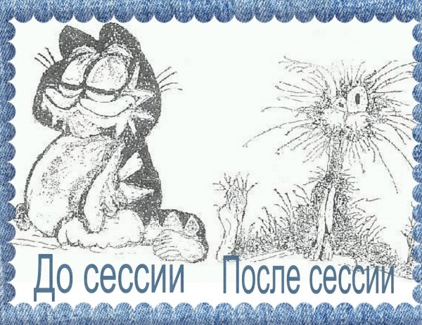 Учеба юмор