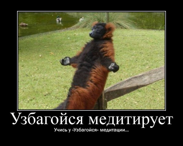 Медитация смешно
