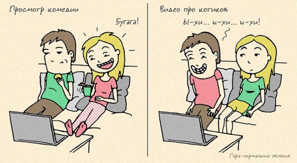 Смешные фразы про отношения