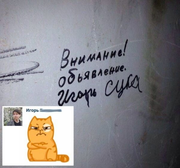 Приколы про Игоря
